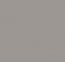 Линолеум Forbo Sarlon Colour 15dB 862T4315 stone grey uni фото 1 | FLOORDEALER